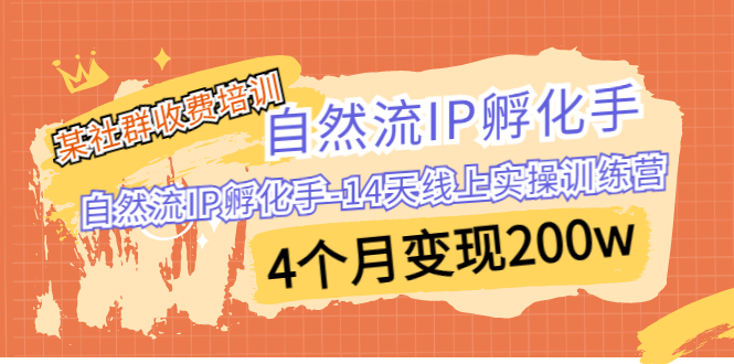 （6924期）某社群收费培训：自然流IP 孵化手-14天线上实操训练营 4个月变现200w-副业库