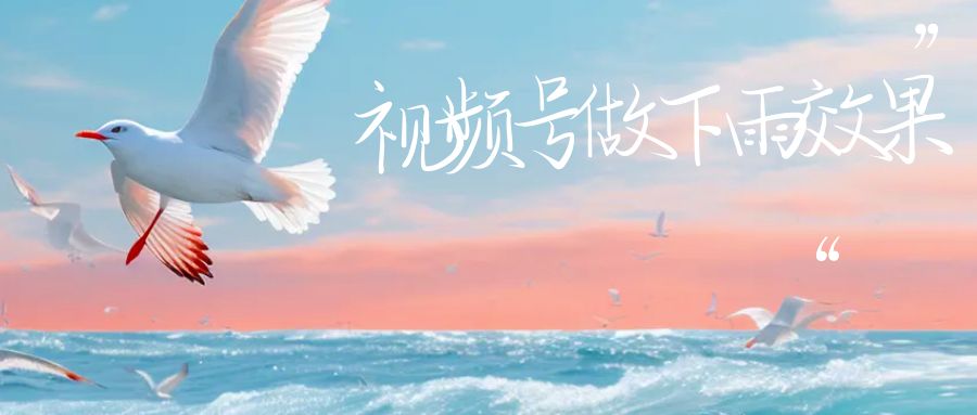 （6637期）视频号做下雨视频一个账号一周涨粉10W+年入100w-副业网