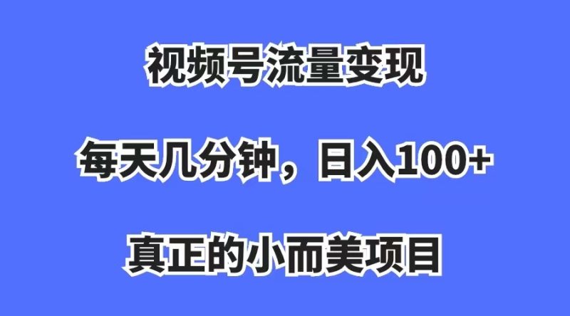 （7212期）视频号流量变现，每天几分钟，收入100+，真正的小而美项目-副业网