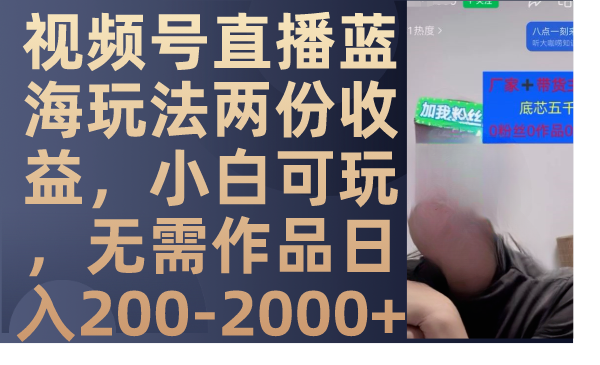 （7635期）视频号直播蓝海玩法两份收益，小白可玩，无需作品日入200-2000+-副业网