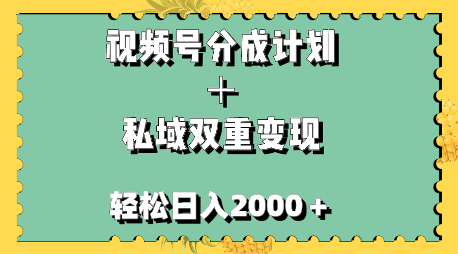 （7842期）视频号分成计划＋私域双重变现，轻松日入1000＋，无任何门槛，小白轻松上手-副业网