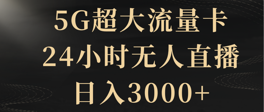 （8304期）5G超大流量卡，24小时无人直播，日入3000+-副业网