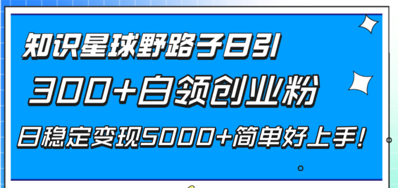 （8315期）知识星球野路子日引300+白领创业粉，日稳定变现5000+简单好上手！-副业网