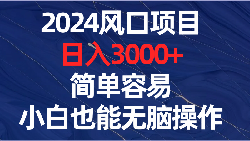 （8432期）2024风口项目，日入3000+，简单容易，小白也能无脑操作-副业网