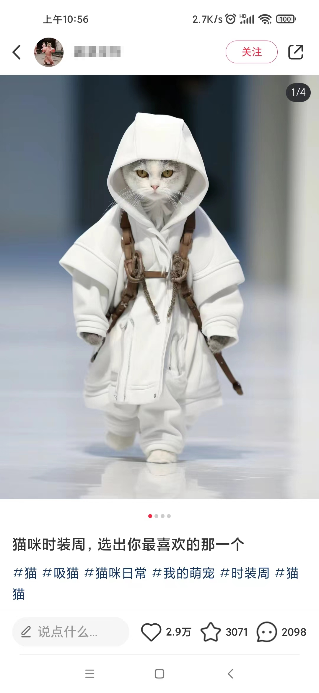 图片[2]-（8442期）小红书最新爆款项目，Animal秀，7天变现1w+-副业网