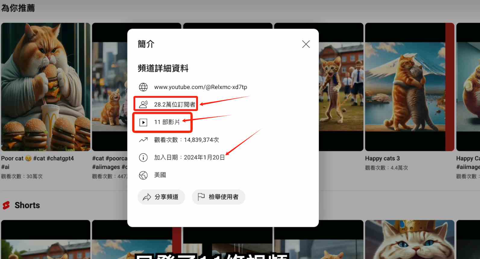 图片[2]-（9114期）AI貓咪剧情号，30天涨粉100w，制作简单，一个视频全网分发，轻松月入1W+-副业网