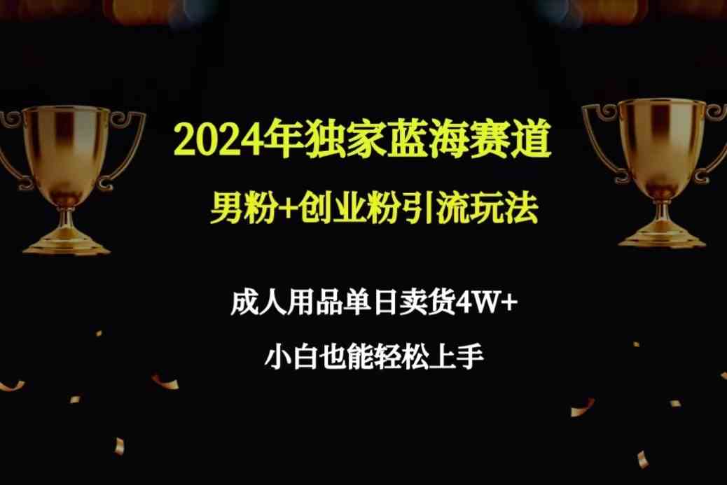 （9111期）2024年独家蓝海赛道男粉+创业粉引流玩法，成人用品单日卖货4W+保姆教程-副业网