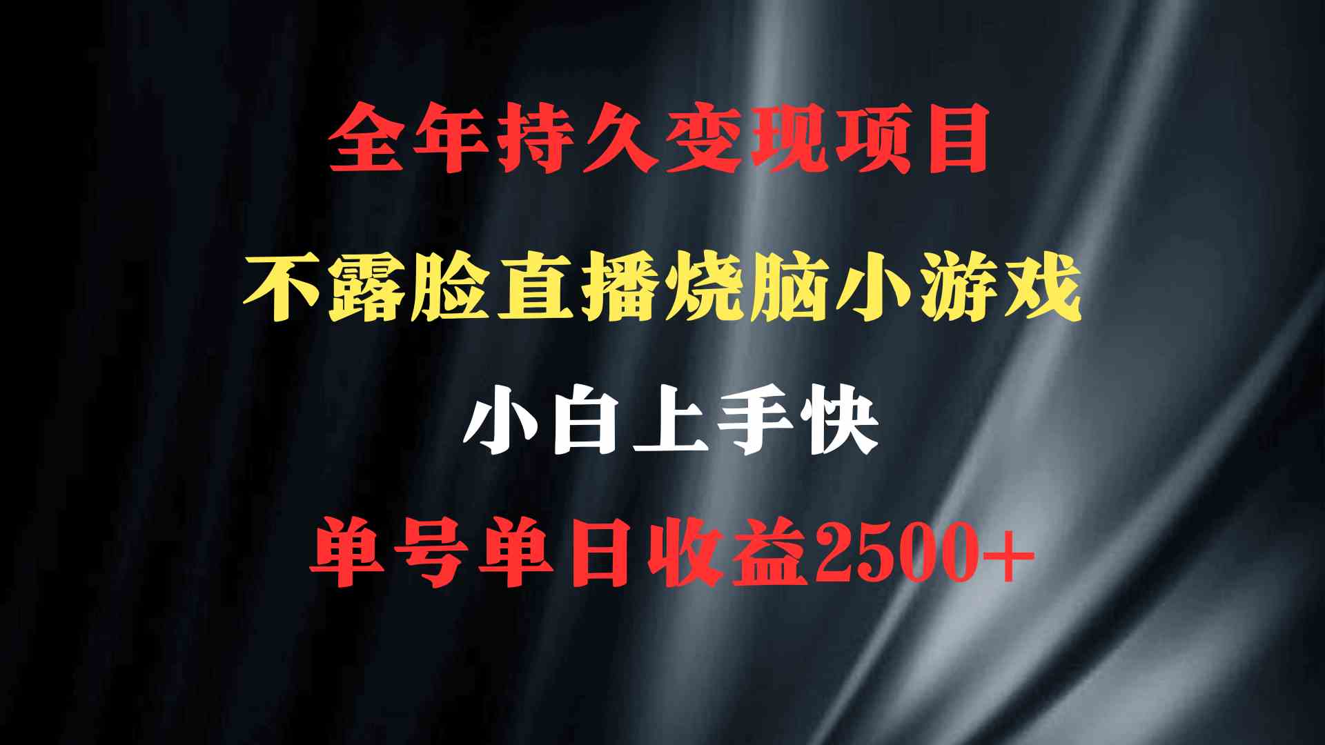（9168期）2024年 最优项目，烧脑小游戏不露脸直播  小白上手快 无门槛 一天收益2500+-副业网