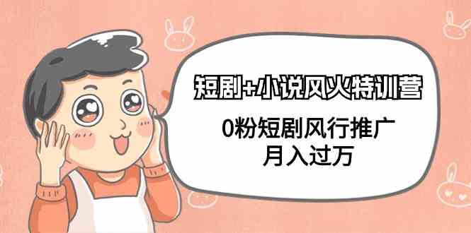 （9374期）短剧+小说风火特训营，0粉短剧风行推广，月入过万（102节课）-副业网