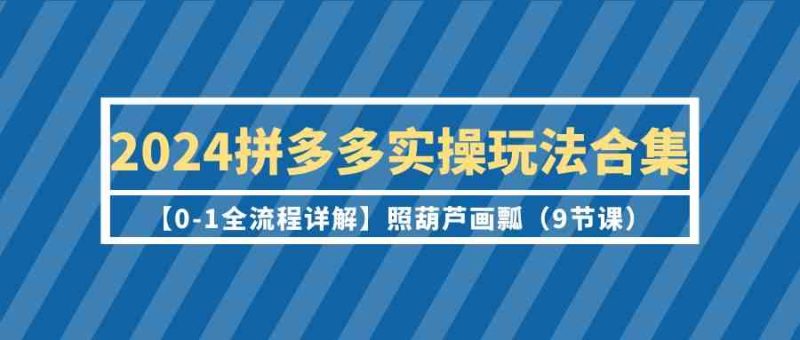 (9559期)2024拼多多实操玩法合集【0-1全流程详解】照葫芦画瓢(9节课)-副业网
