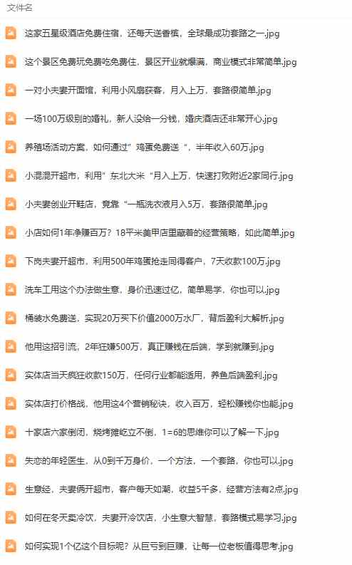 图片[4]-（9607期）真实有效391套商业模式，年入几十到几百万案例解析（电子书+视频+图文）-副业网