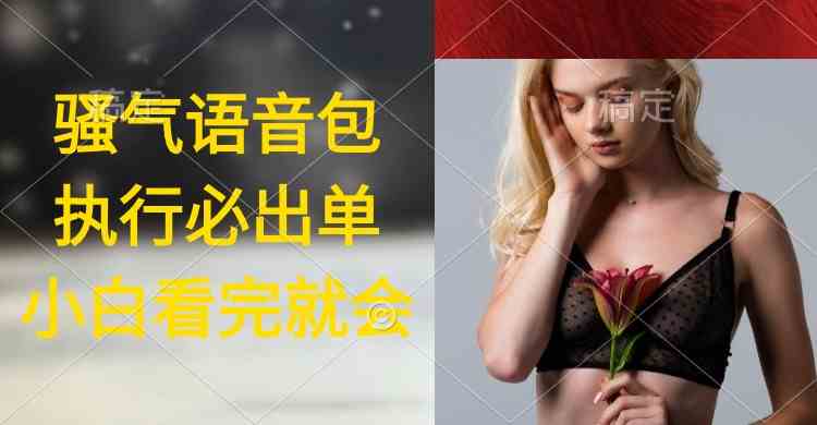 （9589期）执行就出单，日入2000+，超火骚气语音包，小白看完课程就能马上实操-副业库