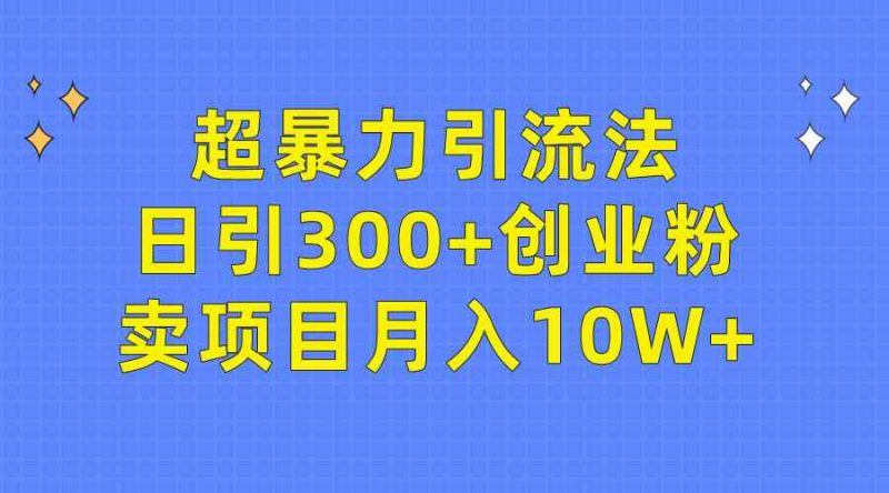 （9954期）超暴力引流法，日引300+创业粉，卖项目月入10W+-副业网