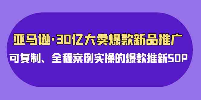 （9944期）亚马逊30亿·大卖爆款新品推广，可复制、全程案例实操的爆款推新SOP-副业库
