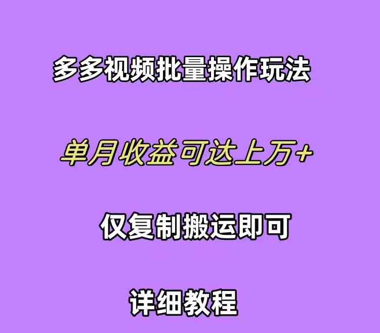 （10029期）拼多多视频带货快速过爆款选品教程 每天轻轻松松赚取三位数佣金 小白必…-副业网