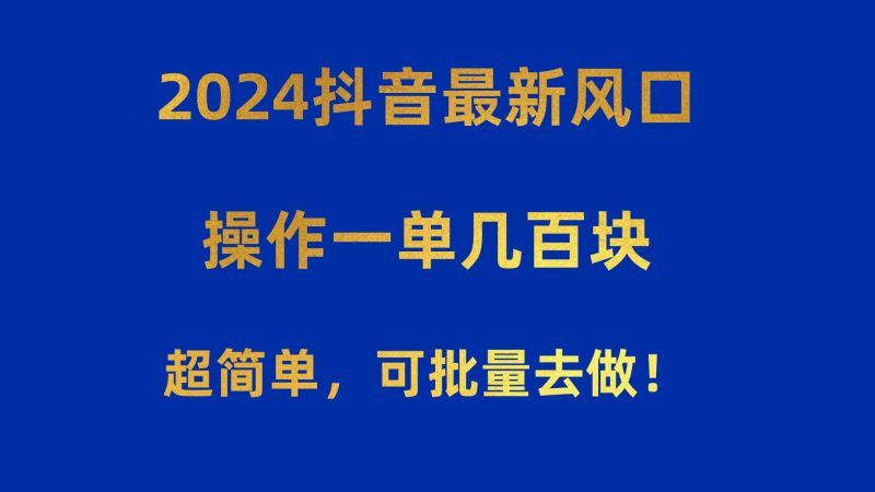 （10413期）2024抖音最新风口！操作一单几百块！超简单，可批量去做！！！-副业库