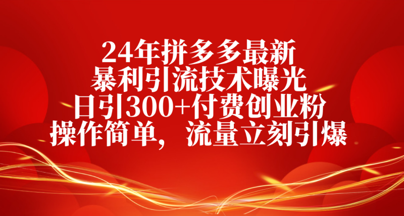 (10559期)24年拼多多最新暴利引流技术曝光,日引300+付费创业粉,操作简单,流量…-副业网