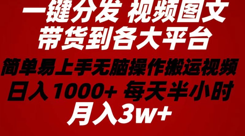 （10667期）2024年 一键分发带货图文视频  简单易上手 无脑赚收益 每天半小时日入1…-副业网