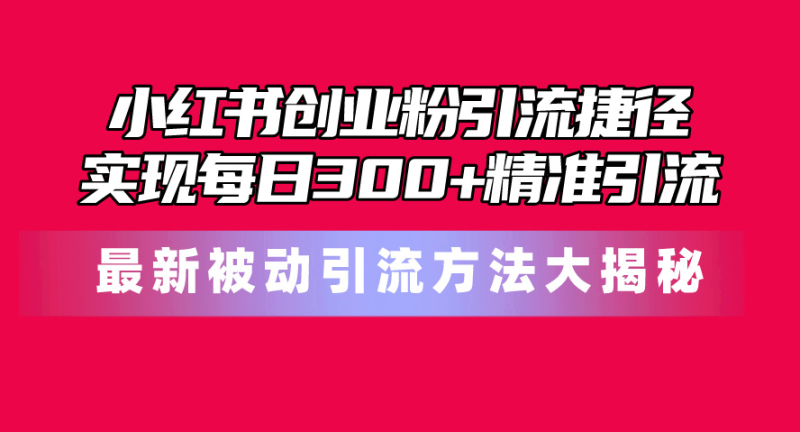 （10692期）小红书创业粉引流捷径！最新被动引流方法大揭秘，实现每日300+精准引流-副业网