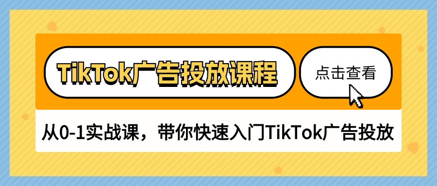 （10731期）TikTok广告投放课程，从0-1实战课，带你快速入门TikTok广告投放（30节课）-副业网