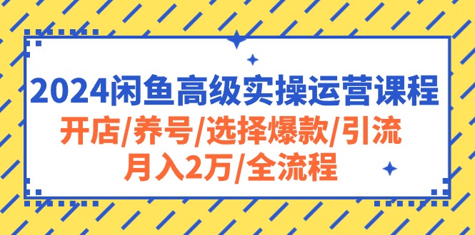 （10711期）2024闲鱼高级实操运营课程：开店/养号/选择爆款/引流/月入2万/全流程-副业网