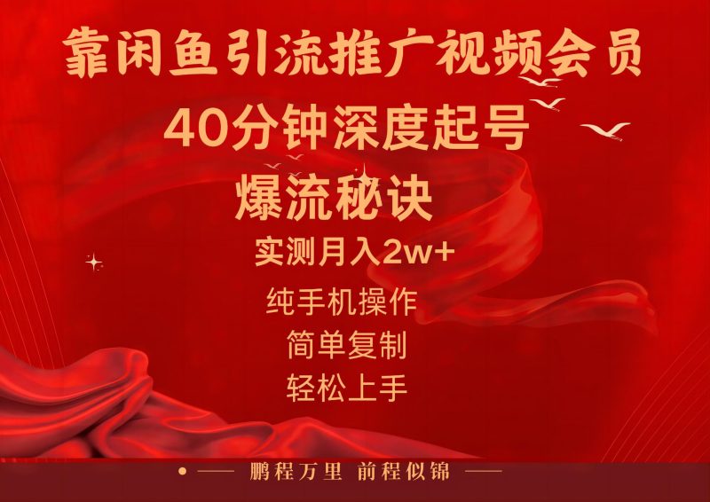 （10895期）闲鱼暴力引流推广视频会员，能做到日入2W+，操作简单-副业网