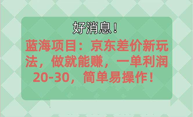 （10989期）越早知道越能赚到钱的蓝海项目：京东大平台操作，一单利润20-30，简单…-副业库