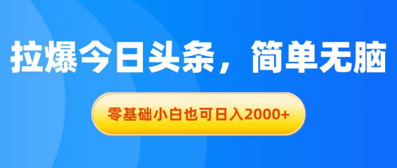 （11077期）拉爆今日头条，简单无脑，零基础小白也可日入2000+-副业网