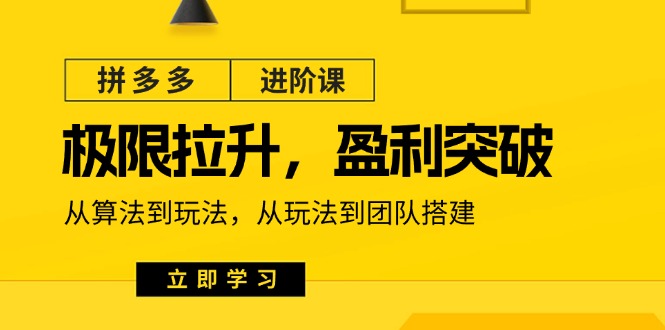 （11435期）拼多多·进阶课：极限拉升/盈利突破：从算法到玩法 从玩法到团队搭建-18节-副业网