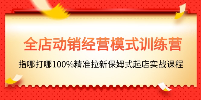 （11460期）全店动销-经营模式训练营，指哪打哪100%精准拉新保姆式起店实战课程-副业网