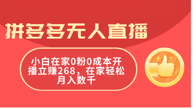 （11521期）拼多多无人直播，小白在家0粉0成本开播立赚268，在家轻松月入数千-副业网