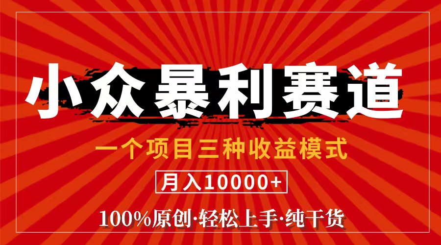 （11695期）视频号【中老年粉深信不疑】小众赛道 100%原创 手把手教学 新号3天收益…-副业网