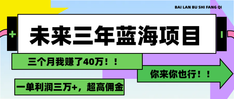 （11716期）未来三年，蓝海赛道，月入3万+-副业网