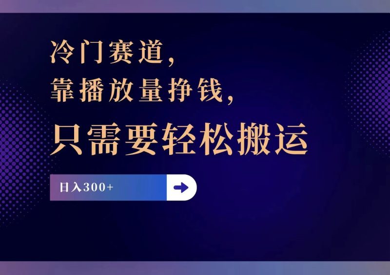 （11965期）冷门赛道，靠播放量挣钱，只需要轻松搬运，日赚300+-副业网