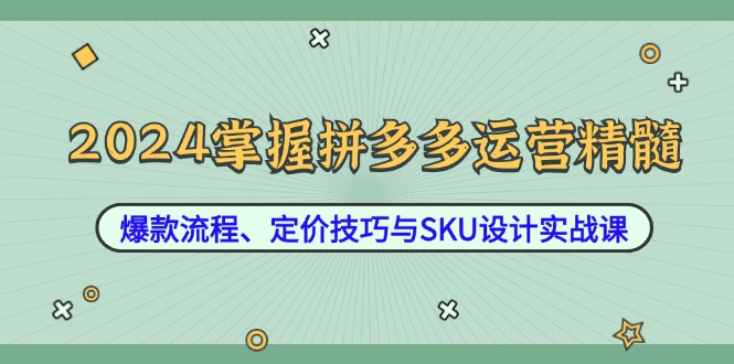 （12703期）2024掌握拼多多运营精髓：爆款流程、定价技巧与SKU设计实战课-副业网