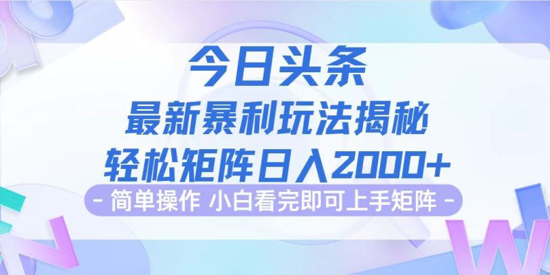 （12584期）今日头条最新暴利掘金玩法揭秘，动手不动脑，简单易上手。轻松矩阵实现…-副业网
