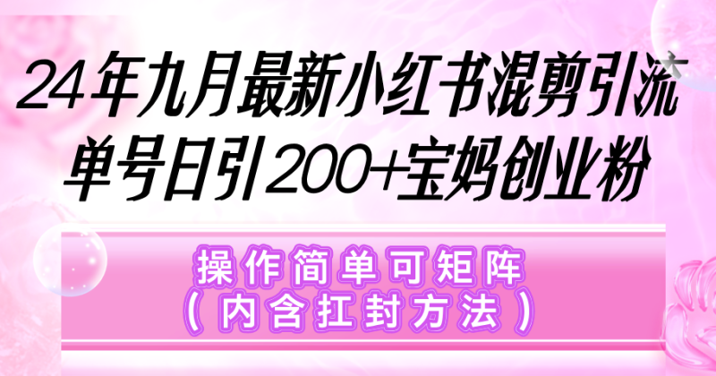 （12530期）小红书混剪引流，单号日引200+宝妈创业粉，操作简单可矩阵（内含扛封…-副业网
