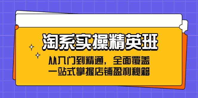 （12276期）淘系实操精英班：从入门到精通，全面覆盖，一站式掌握店铺盈利秘籍-副业网