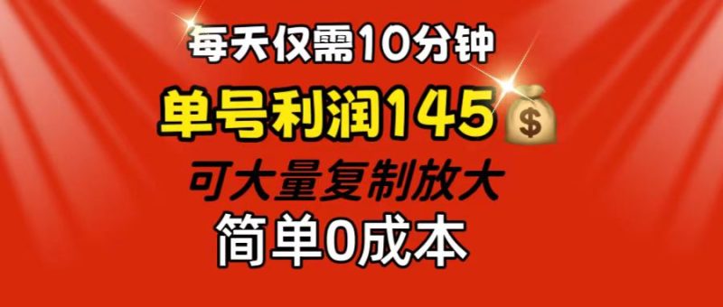 （12027期）每天仅需10分钟，单号利润145 可复制放大 简单0成本-副业网