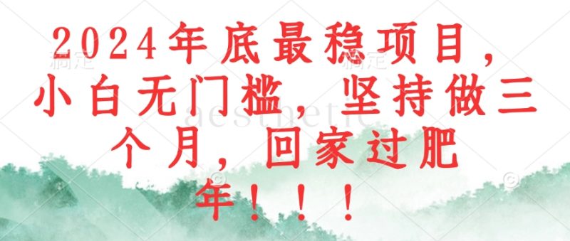 （12970期）2024年底最稳项目，小白无门槛，坚持做三个月，回家过肥年！！！-副业库