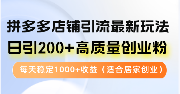 （12892期）拼多多店铺引流最新玩法，日引200+高质量创业粉，每天稳定1000+收益（…-副业库