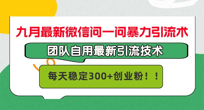 （12735期）九月最新微信问一问暴力引流术，团队自用引流术，每天稳定300+创…-副业库