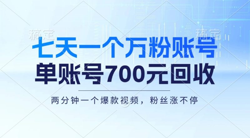 （13062期）七天一个万粉账号，新手小白秒上手，单账号回收700元，轻松月入三万＋-副业库
