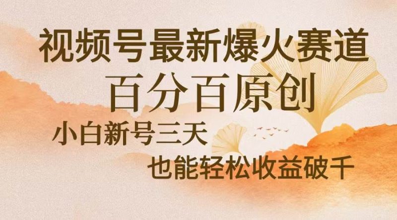（13225期）视频号最新爆火赛道，中老年粉深信不疑，百分百原创，新号三天收益轻松…-副业网
