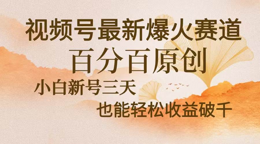 （13225期）视频号最新爆火赛道，中老年粉深信不疑，百分百原创，新号三天收益轻松…-副业网