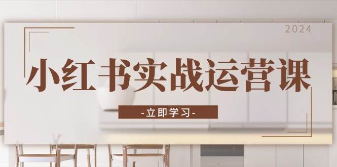 （13238期）小红书实战运营课：从开通店铺到直播话术，打造爆款笔记与高效直播-副业网