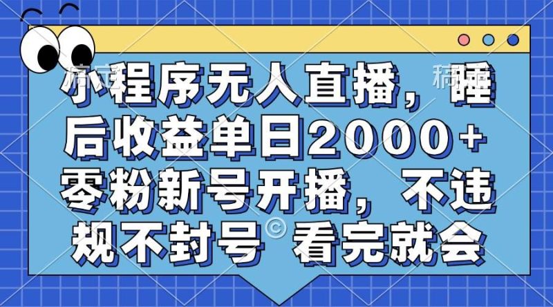 （13251期）小程序无人直播，睡后收益单日2000+ 零粉新号开播，不违规不封号 看完就会-副业网
