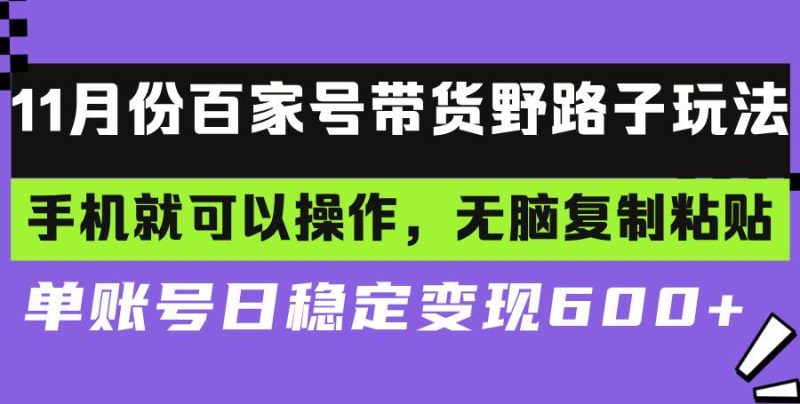 （13281期）百家号带货野路子玩法 手机就可以操作，无脑复制粘贴 单账号日稳定变现…-副业网