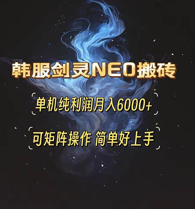 （13435期）韩服剑灵NEO搬砖攻略，单机纯利润月入6000+ 可矩阵操作，简单好上手。-副业库