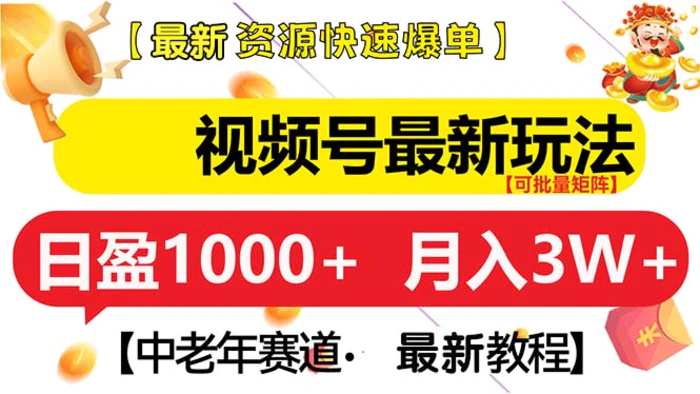（13530期）视频号最新玩法 中老年赛道 月入3W+-副业库